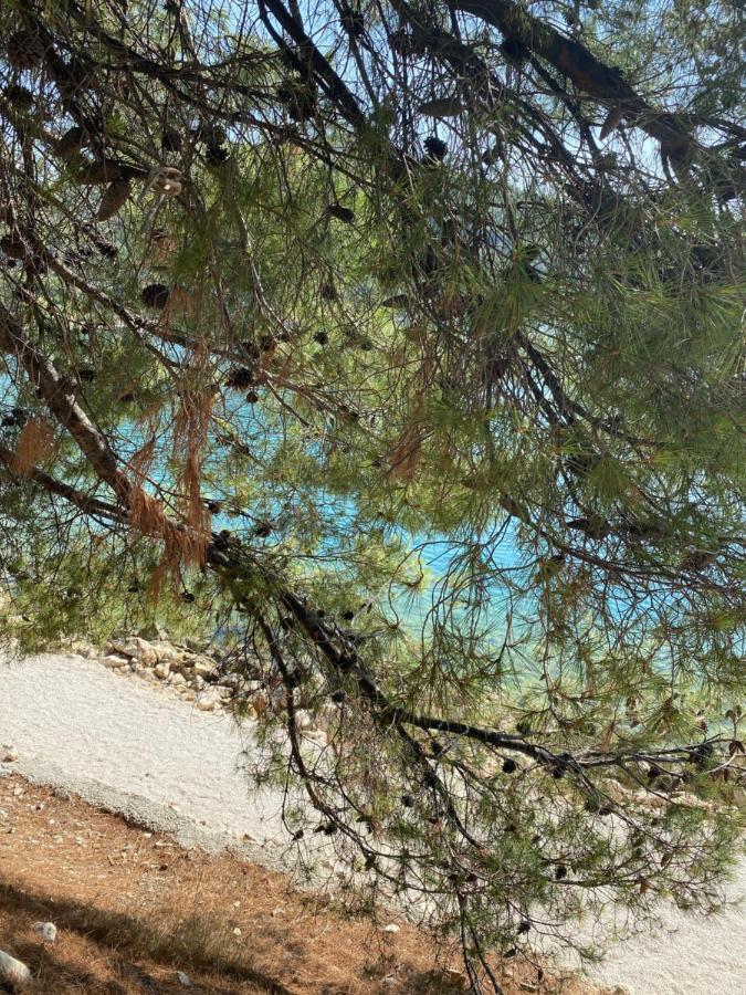 Villa Lovric มารีนา ภายนอก รูปภาพ